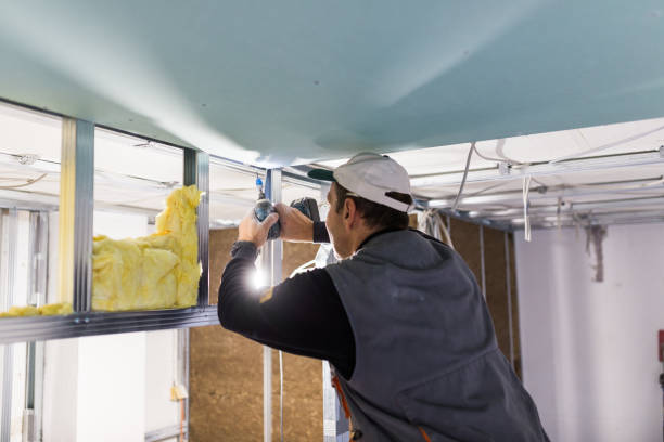 Best Best Insulation Companies  in Pomona, NJ